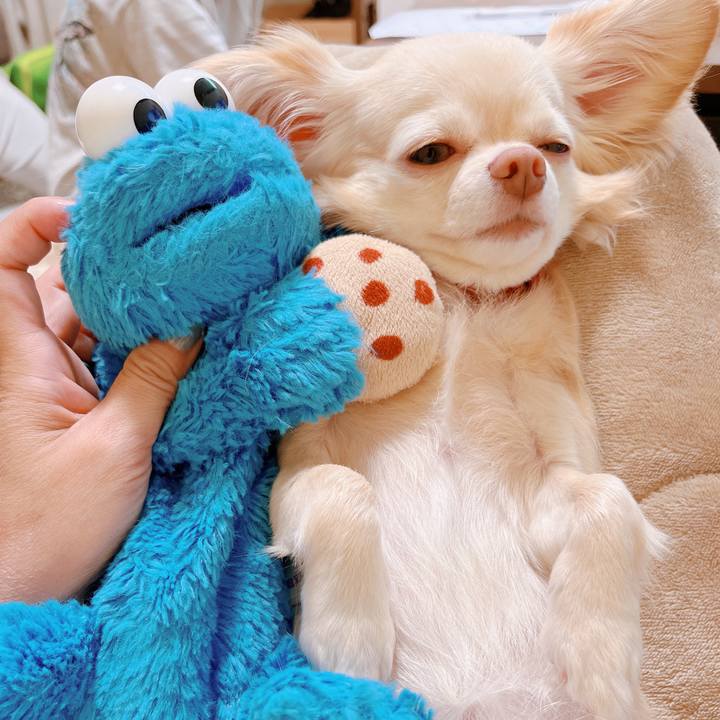 Ed6e1ff9 cc98 4a89 807b bb93ed7d5e21 1658457063275