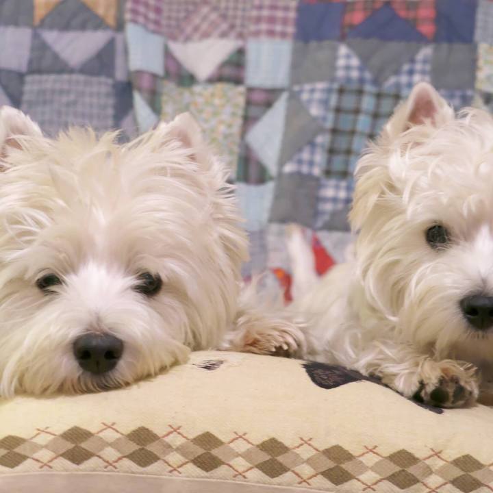 Ed6ead2f c83d 4685 9695 ee51498f498f 1512196602235