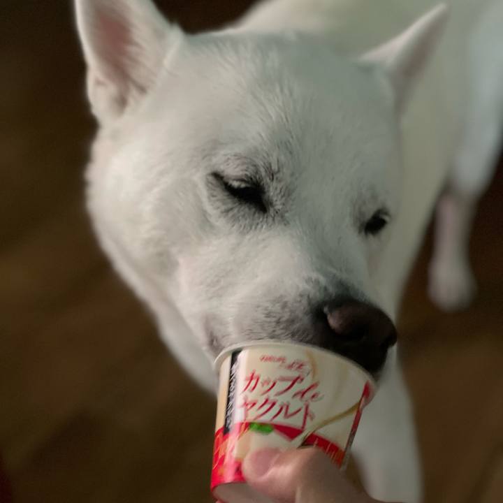 Ed6ecfa2 a86c 49a1 b67c bf3b4a63f14d 1678289317905