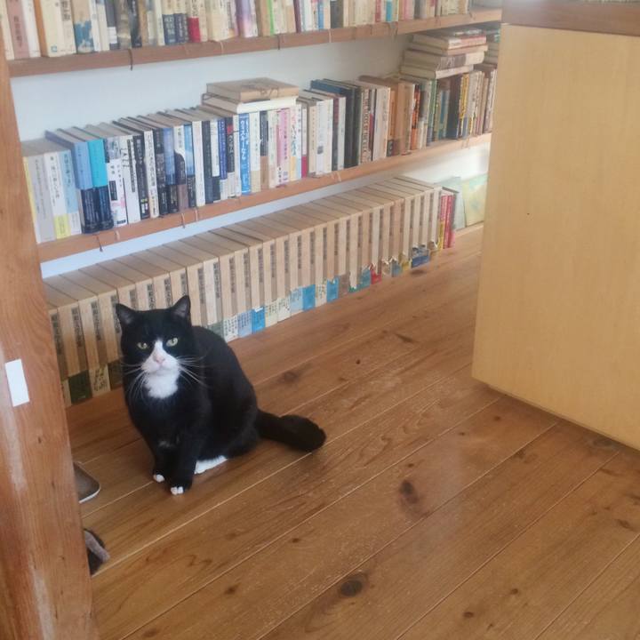 Ed6ed352 e41a 44f1 a936 5be612defa64 1548457693791