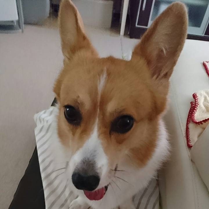 Ed6ed9ce 7be3 4ae4 8615 c48b6eed295a 1507788168689