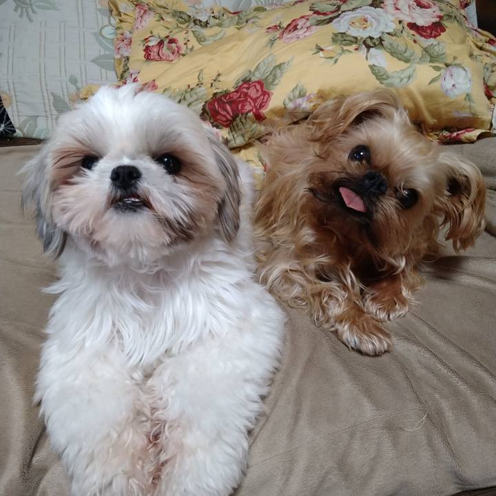 Ed6ed9ea 701f 466f a3f7 2df455e0a210 1612486918515