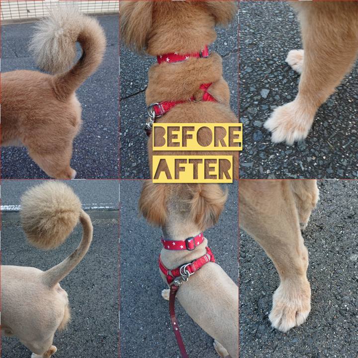 Ed6f0581 5036 4670 911f cefd24d3ca7b 1568111549063