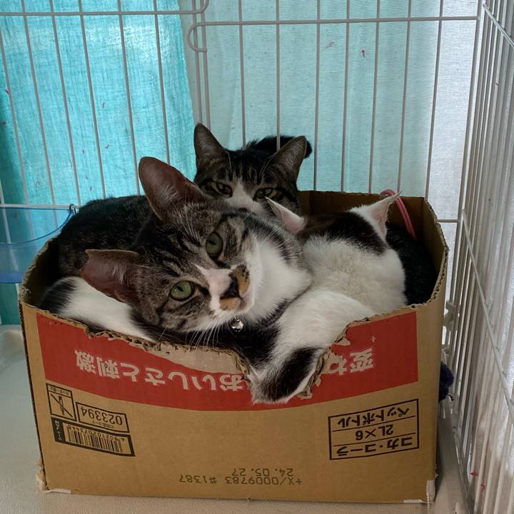 Ed6f3310 e24e 4b71 abf4 111dd5494900 1710219278658