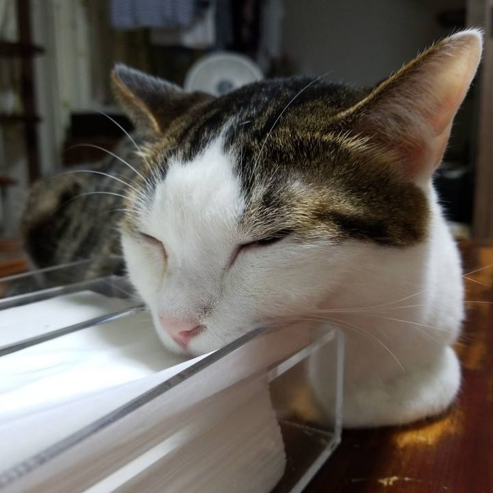 Ed6f5ae6 63ad 472e 9237 ec40db432f89 1568722809303