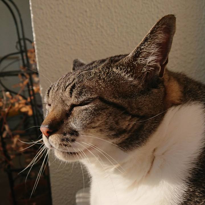 Ed6f7387 c699 47f4 96ff de875625175a 1582759429317