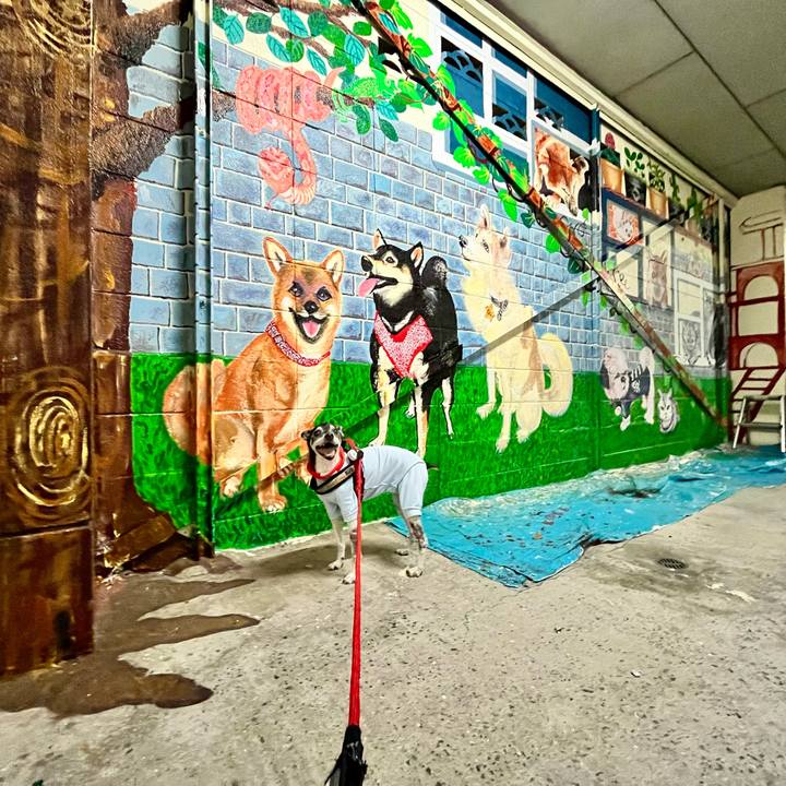 Ed6f7ca9 94d6 43e2 83e2 8b3eee71048d 1653567023236