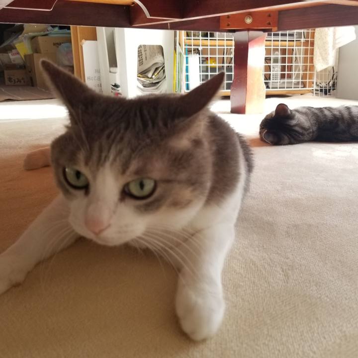 Ed6f7f90 992a 4774 ac59 703f2711d724 1670425865647