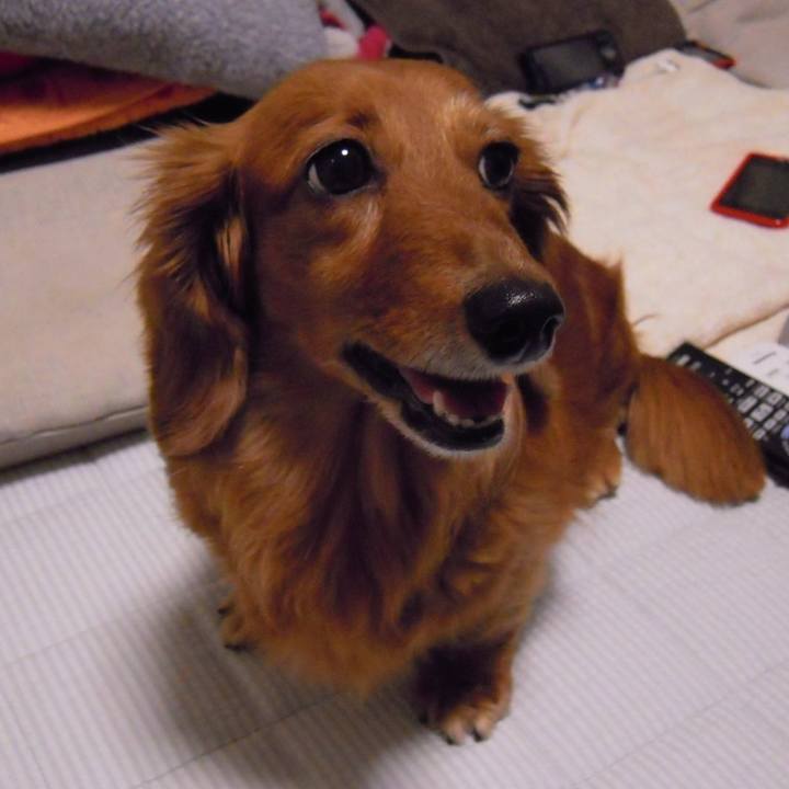 Ed6f82cf 5952 4a03 923c c62d7f8226d7 1546454195863