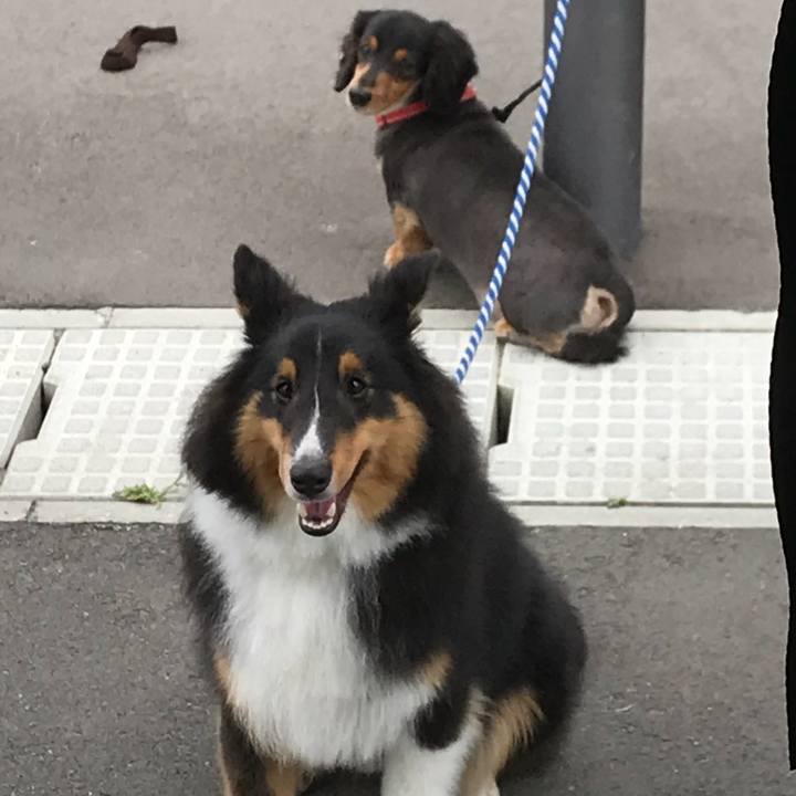 Ed6fc046 b6f6 4f7a 81ec 5cc735071c54 1531693829252