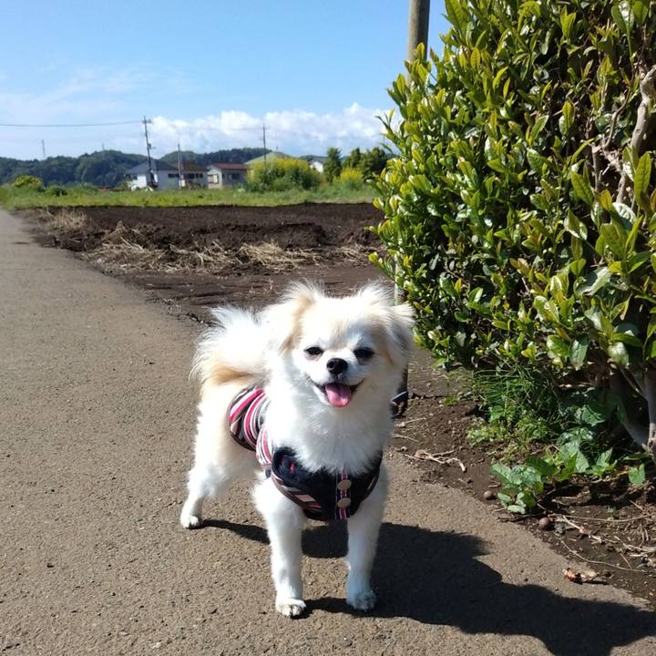 Ed6ff44f 161f 41f7 9a4b a4e6a2963bff 1651917473796