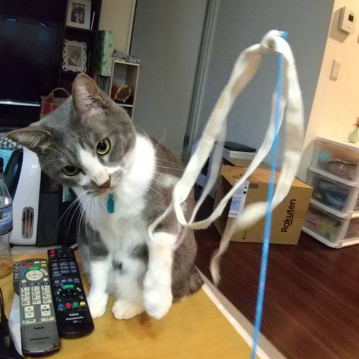 Ed701971 0759 4880 a6ae ea6c5ad8283d 1638327880045