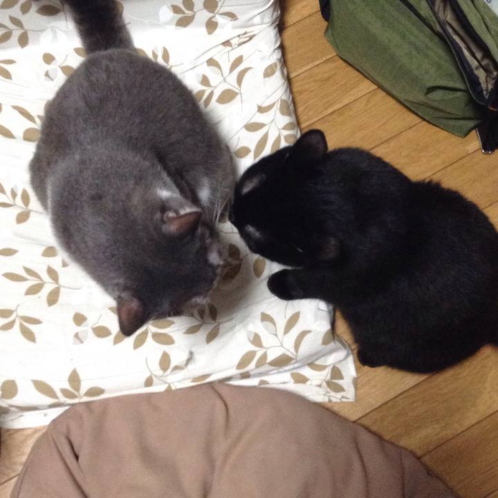 Ed7044d4 2c15 4abd b621 1c98314f31a9 1536844482241