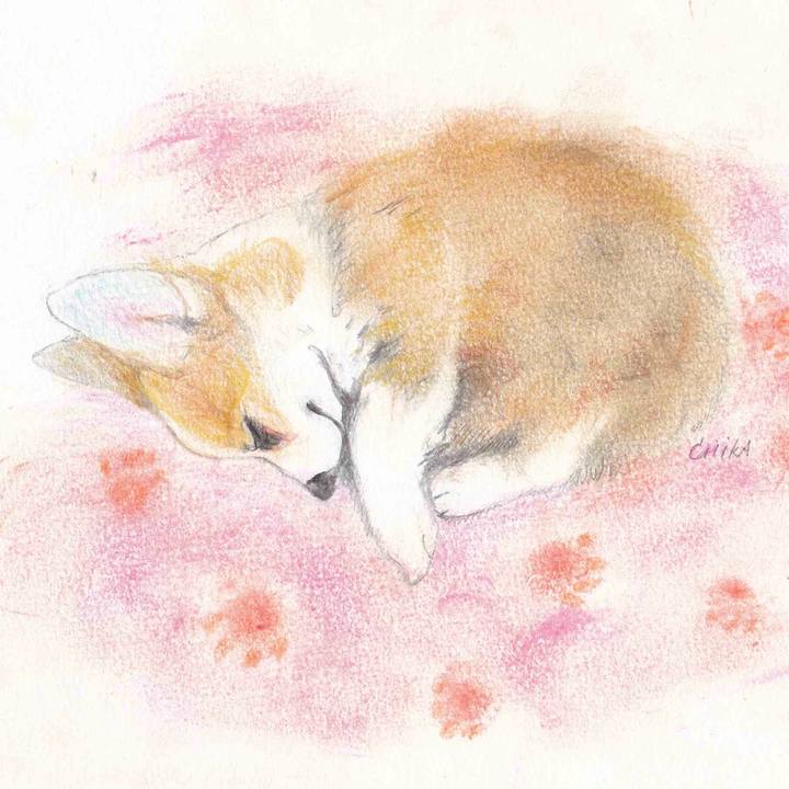 Ed705198 89d5 41eb 9a47 14c1d6ec981c 1574679335398