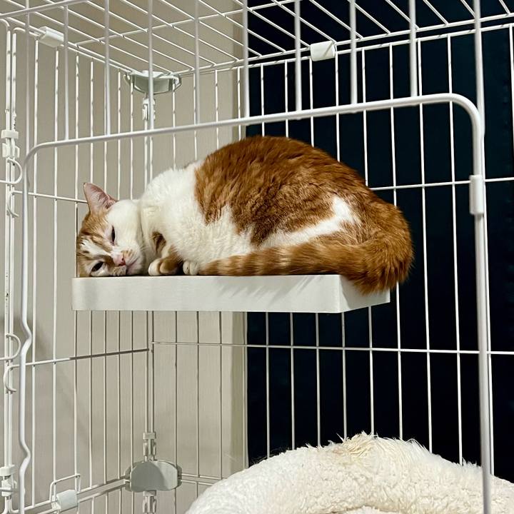 Ed707d8a 2780 4851 bbb7 067bebc9410a 1763610556901