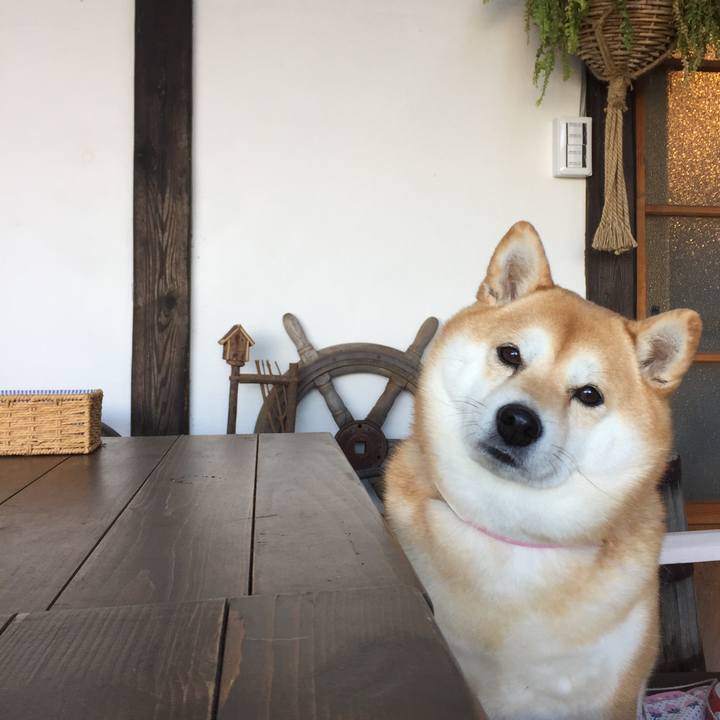 Ed708a8e fa99 4883 8c0e 1fc25948eea8 1547609594072