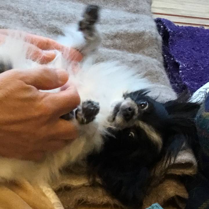 Ed708cda e786 4dd3 bb12 296e7c624abe 1507944554245