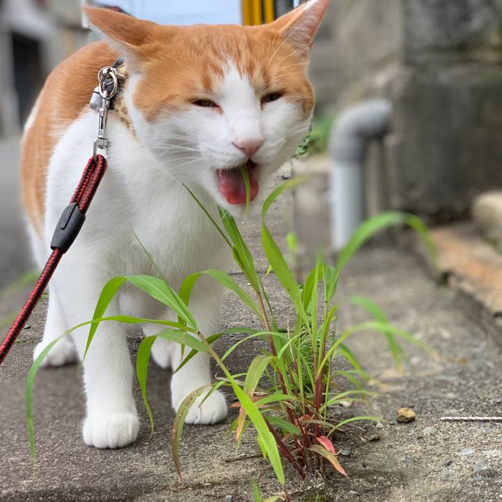 Ed7093b3 de63 4907 bfe6 ff3602df867b 1594977730064