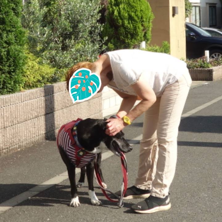 Ed709c60 d1fb 4d75 bd15 974abc90a6a7 1687999891703