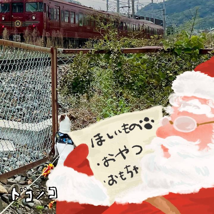 Ed70a9f5 8b28 41ad 8743 c3473543ff76 1730440311200