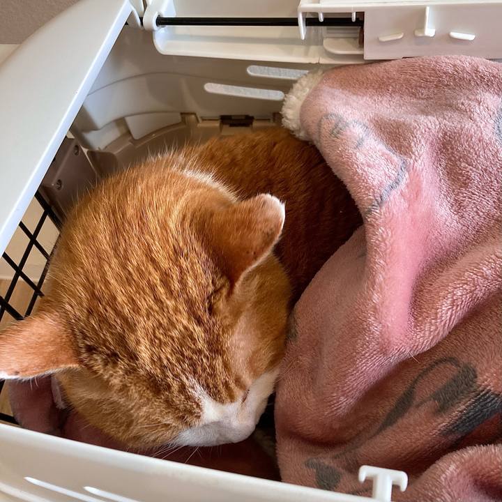 Ed70b783 e0d1 4b0c be80 c17cb53e98fc 1678204753593