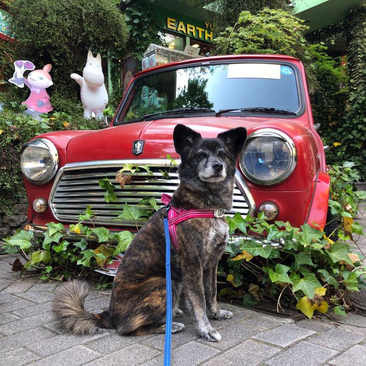 Ed712fdf d099 41ea 8a1d a0d4b34079d7 1650530469606