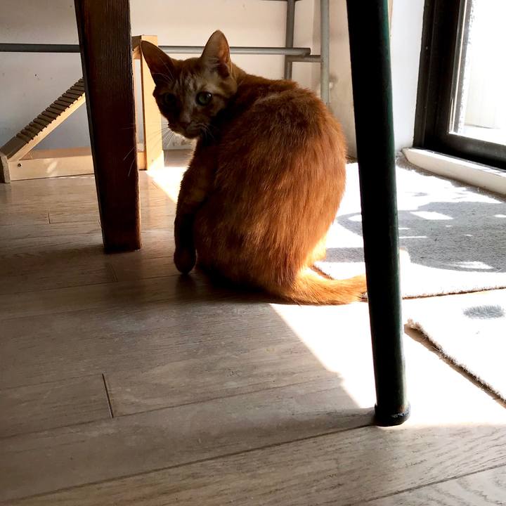 Ed713476 c78b 4d90 857f 613ef35390f1 1550286675631