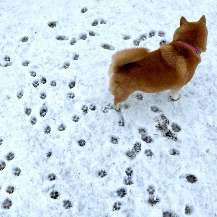 Ed713fe0 4293 4422 99e0 54dec3b33d34 1707251021261