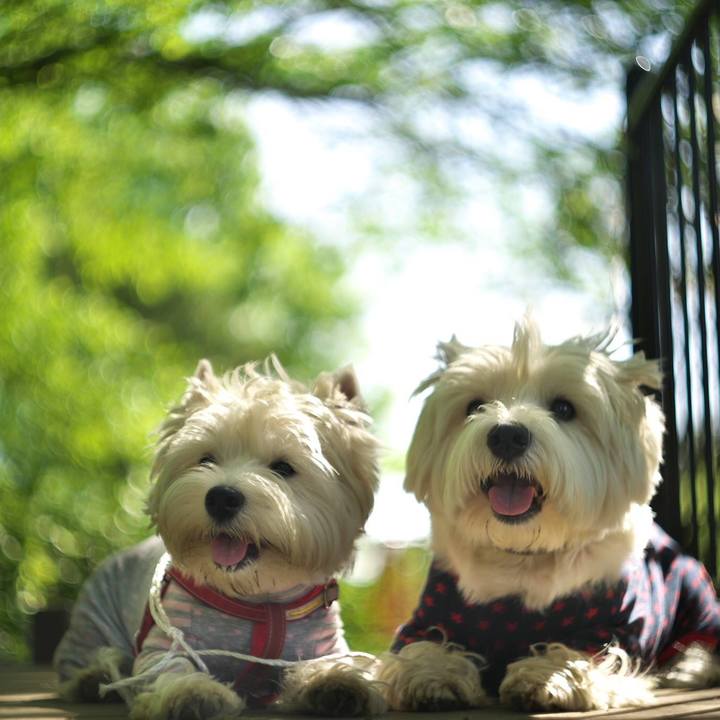 Ed7141fd f27a 477a 828a b69d8d155b36 1524739946358