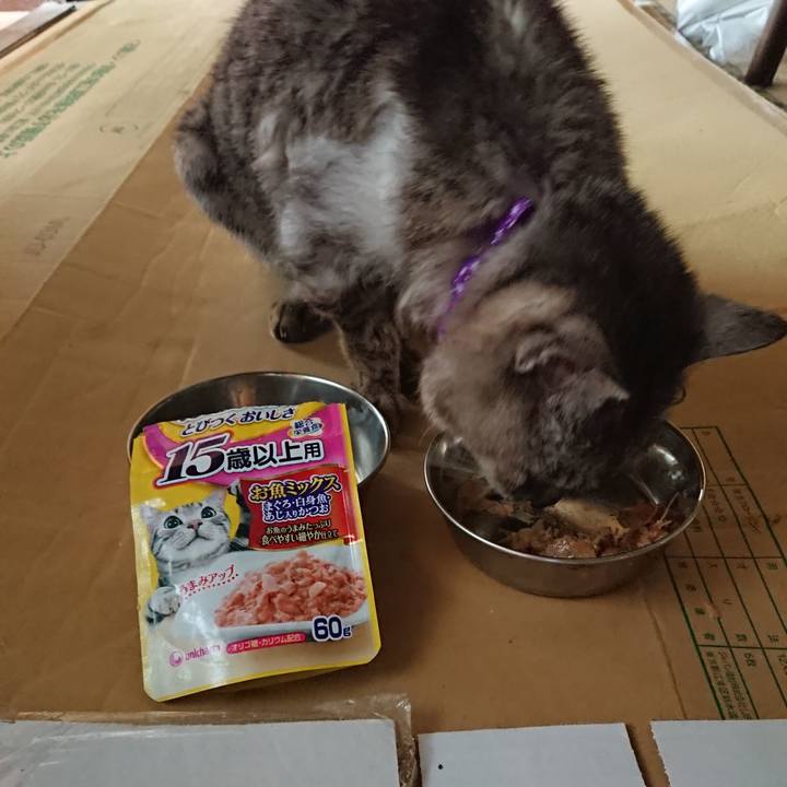 Ed7156ce 20f1 4e00 bd03 11292c94e699 1597459738028