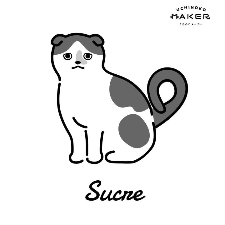 Ed716625 a729 4de2 abe1 b16f4c88b057 1659924985491