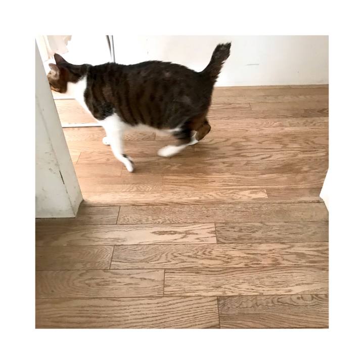 Ed716c84 a55e 4e4a 9cd9 e4bfaaf43177 1639650868880