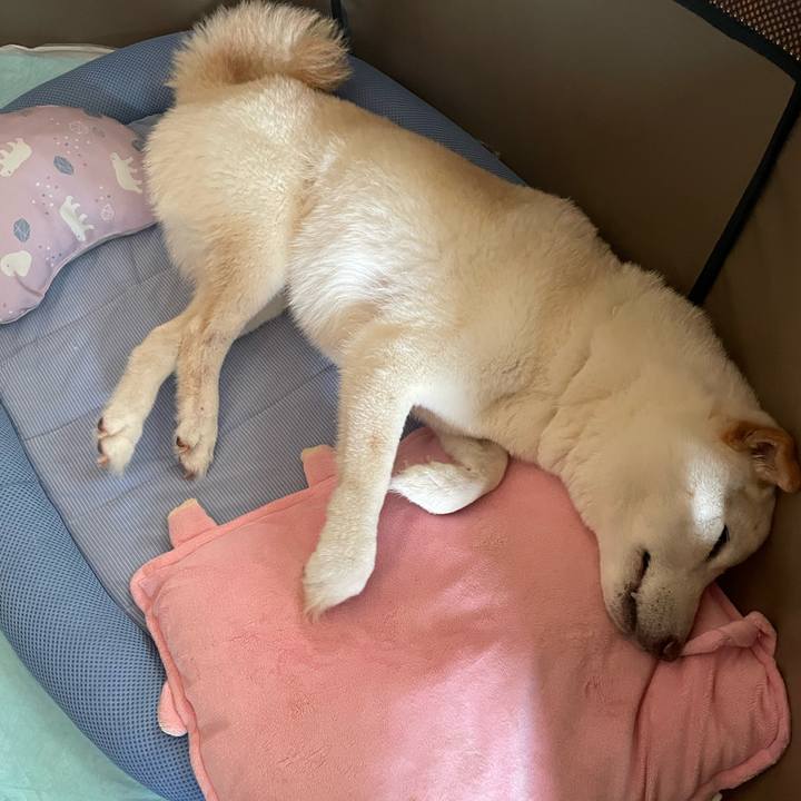 Ed7179eb 0d28 42b6 8bea 9b653e4a6baf 1653285122165