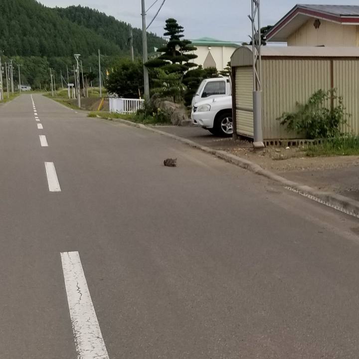 Ed717c81 571f 4f09 95b8 de0d3cf8edfc 1630241471661