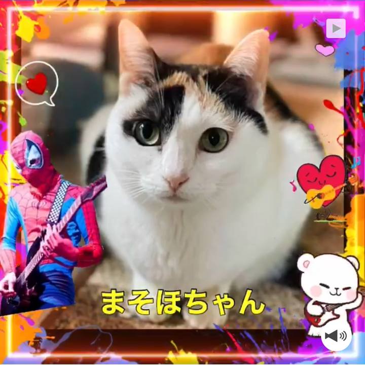 Ed71854b 2045 4346 9838 283f6edec0bf 1647400313575