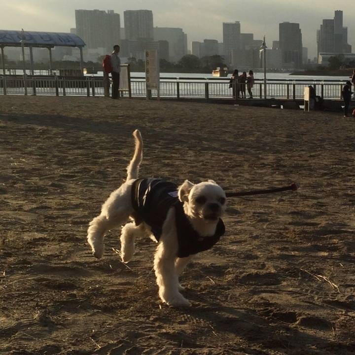 Ed718c37 a315 4799 9366 bee3def44813 1544669676375