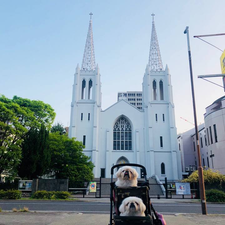 Ed71af67 e3c7 4a67 8bd9 91c0b369c7cb 1588282331283