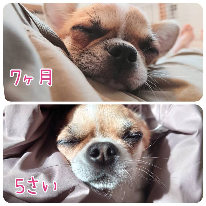 Ed71b7e6 da74 4f0e a51c 8d02ceb8029b 1676680102880