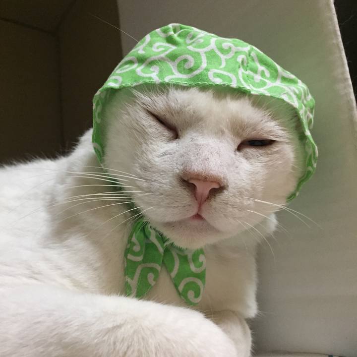 Ed72033f f2f6 4c5f a256 ca0087ffbcec 1535754608581