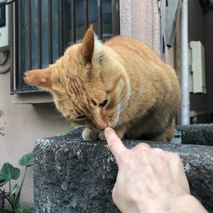 Ed720457 09bd 4e5c 9deb 1185f9cd9c01 1609893270035