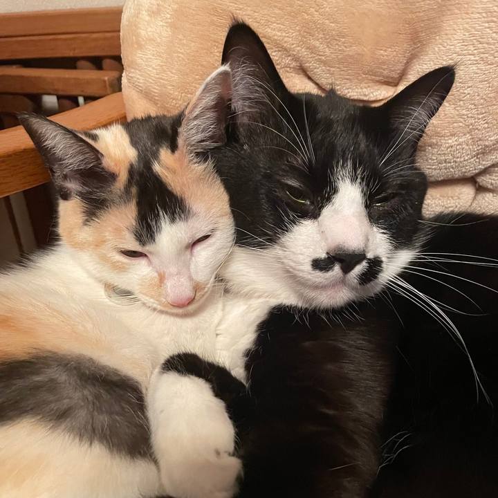 Ed7205d1 06a5 4d2a 8ffe 3ac9c075b496 1680088662527