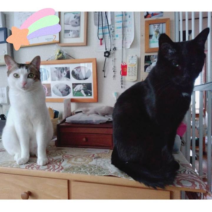 Ed720f8d f807 48a2 b804 5bd6712275f5 1677145173919