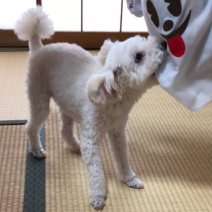 Ed72754c 3c4d 4731 ad99 828709a4bb57 1539522509637