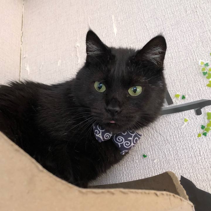 Ed72cbb1 ceff 486e bbb1 2106a6142684 1586297297880