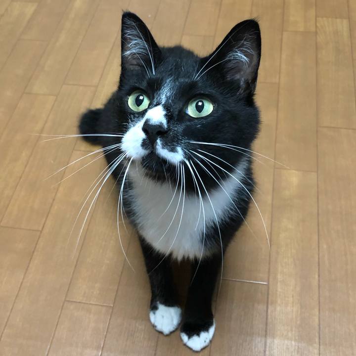 Ed730ea3 a650 472f b227 d974a8bc1f4c 1563076748901