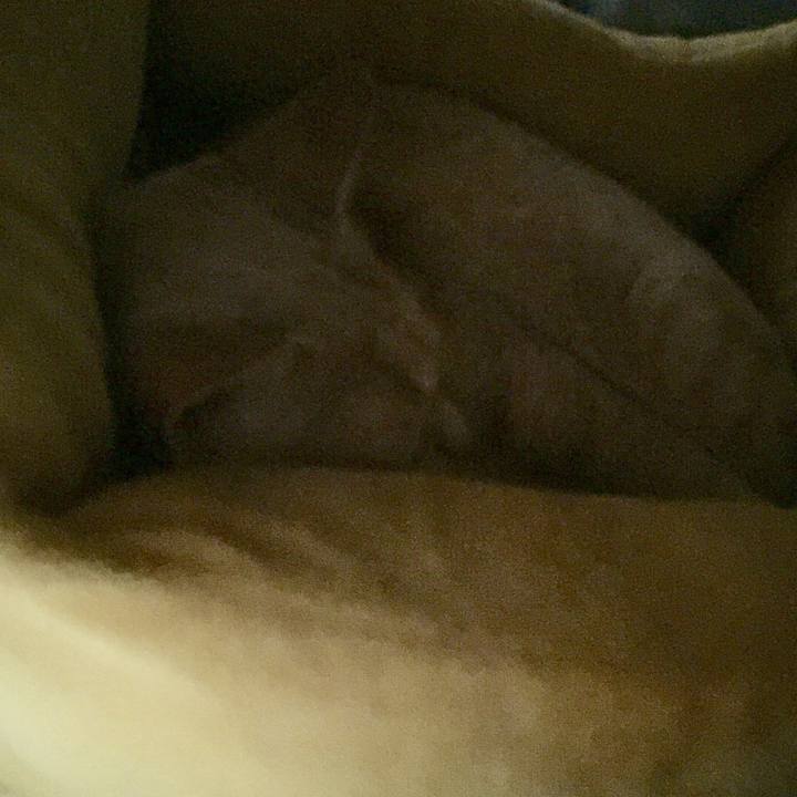 Ed732e65 bd9a 48bc b9c0 3148527a13f7 1534220767296