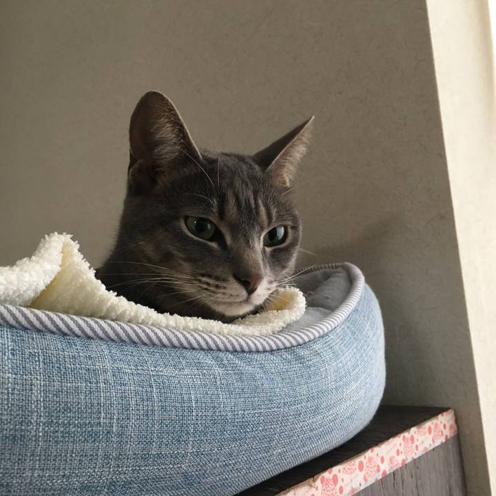 Ed7379c5 5db6 4852 85c3 1f77d243df43 1517617978639