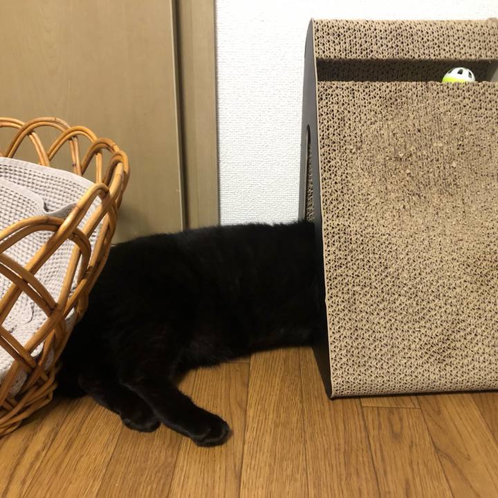 Ed738e2d 3a3a 4a2c 9aeb c0cffa36fbf6 1633619353411