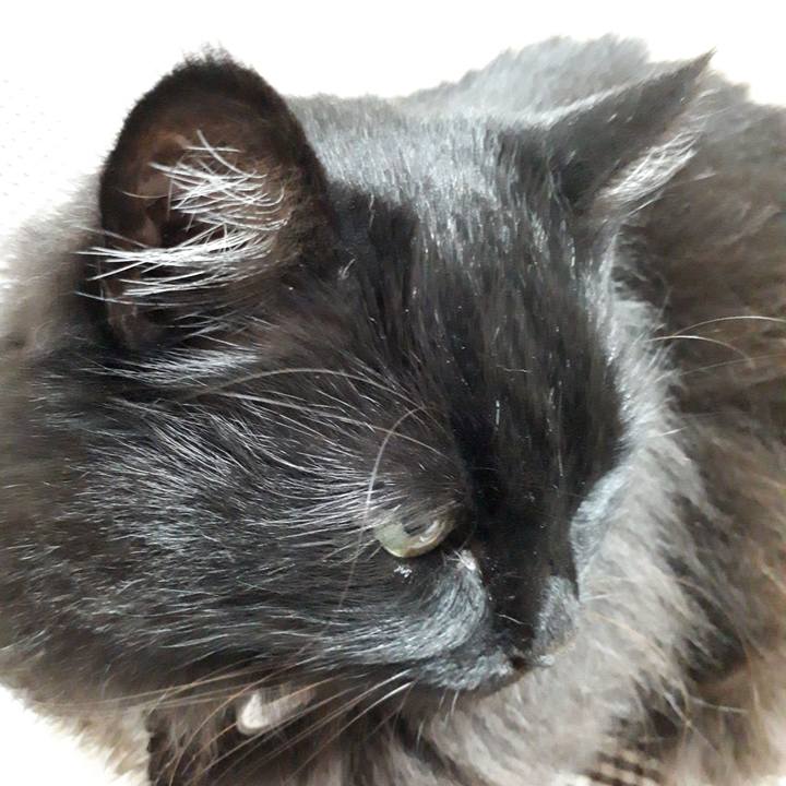 Ed7391e5 eff2 496e a764 461fcdc0a994 1523962632861