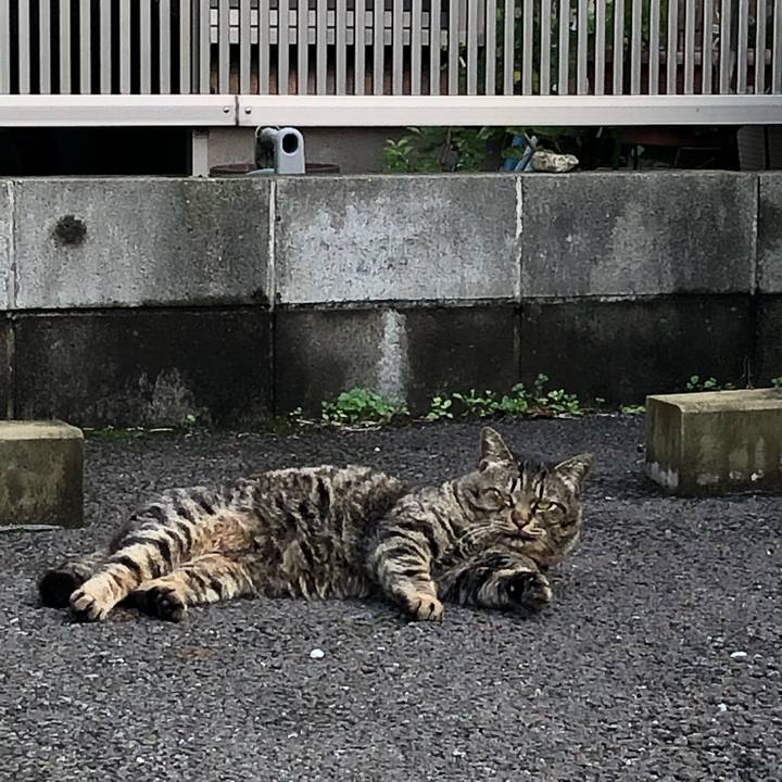 Ed73f3e2 cb6f 439a 94c7 032204e80afc 1541968216113